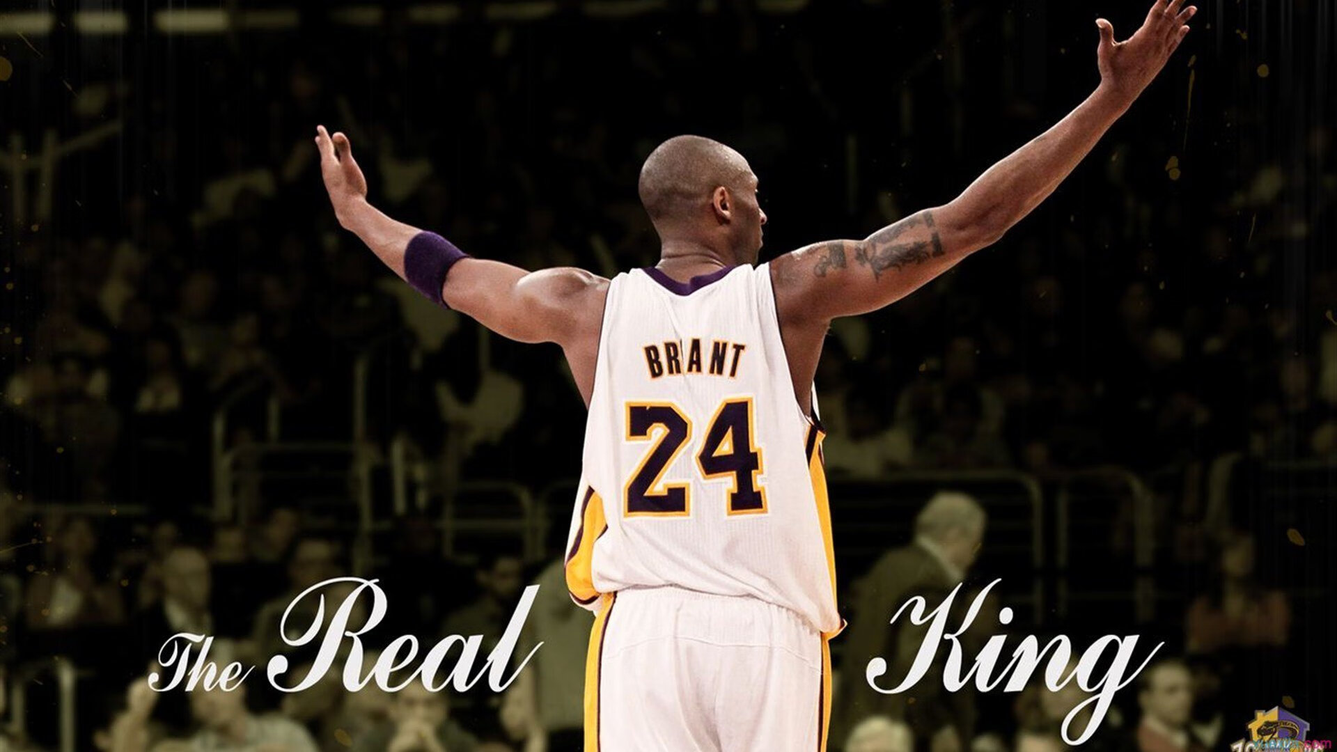 球迷文化大融合，现场氛围热烈，球迷文化的见解